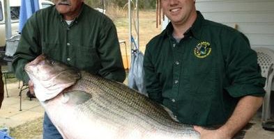 Landlocked Striped Bass Record.jpg